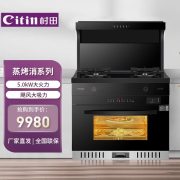 村田（citin） JJZT/Y-9062 集成灶 天然气（计价单位：台）