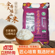 竹泉岛  5kg  金秀大瑶山香米 紫色 （计价单位：袋）