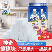 世家（MR.SIGA） 21923 8*5*2.5cm/24片  百洁布  （计价单位：袋）