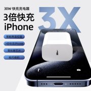 华翼电气 P6-PD30WL-GAN 充电器套装 单位（套）