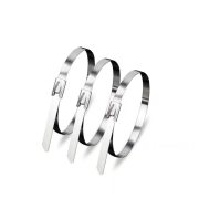 信志连成 304不锈钢扎带金属扎丝户外耐高温防腐蚀 KM-5004 4.6*800mm（100条装）