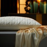 圣夫妮  SFN-241 48*74CM 蝶恋蚕丝美肤枕（一只装） 金色 (单位：个）