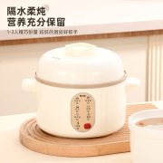 栢士德（BYSTON） BSD-WG108 微电脑隔水电炖锅 规格：0.8L
功率：160W (计价单位：台)