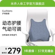米乔减压气动舒适腰垫 H1WP-4302 海天蓝