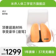 米乔减压腰垫奢享版 WP-4105 海德堡橙
