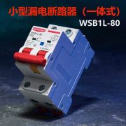 西屋（Westhomes）WSB1L-80 1P+N 32A 空气开关 小型漏电断路器（一体式）单位：个