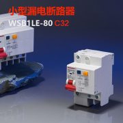 西屋（Westhomes）WSB1LE-80 2P 32A 空气开关 小型漏电断路器（单位：个）