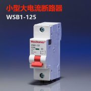 西屋（Westhomes）WSB1-125 1P 100A 空气开关 小型大电流断路器（单位：个）
