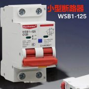 西屋（Westhomes）WSB1-125 2P 125A 空气开关 小型大电流断路器（单位：个）