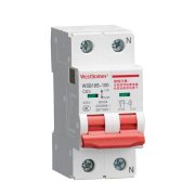 西屋（Westhomes）WSB18S-100 1P+N 63A 空气开关 电表外置断路器（单位：个）