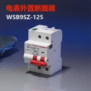 西屋（Westhomes）WSB9SZ-125 2P 100A 空气开关 电表外置断路器（单位：个）