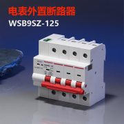 西屋（Westhomes）WSB9SZ-125 3P+N 125A 空气开关 电表外置断路器（单位：个）