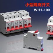 西屋（Westhomes）WH1-100 1P 100A 空气开关 小型隔离开关（单位：个）