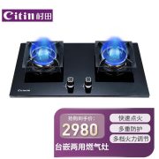 村田（citin） JZT/Y-X8P 燃气灶 液化气（计价单位：台）