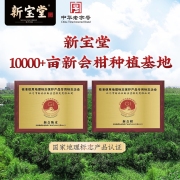 新宝堂十年号级红标125g