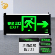 神龙 LK-BLZD-I 2LR0E2WB 主电功率1W 双面单箭头 安全出口灯 绿色反光 （计价单位：个）