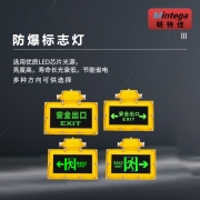 明特佳（Mintega） NFYD2002-L3 3W 防爆标志灯 黄色(套）