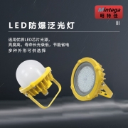 明特佳（Mintega） NFPD8503G-L40 40W LED防爆泛光灯 黄色(套）