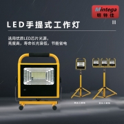 明特佳（Mintega）ZYJ9401-L40 (GBQX ) 应急投光灯 应急时间8小时以上 (单位:个)