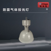 明特佳（Mintega） NZTD9209-L1000 1000W 防震气体投光灯 灰色(套）