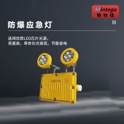 明特佳（Mintega） NFYD2003-L3 3W 防爆应急灯 黄色(套）