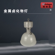 明特佳（Mintega） NZGD9103-L400 400W 金属卤化物灯 灰色(套）