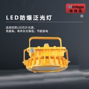 明特佳（Mintega） NFGD8103-L200 200W LED防爆泛光灯 黄色(套）