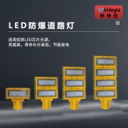 明特佳（Mintega） NFLD8700-L100 100W LED防爆道路灯 黄色(套）