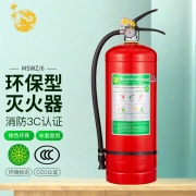 神龙 灭火器 水基型（水雾）环保灭火器6升 车载家用及商用灭火器6L MSWZ/6