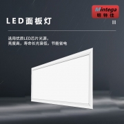 明特佳（Mintega） NZMD9805-L24 24W LED面板灯 白色(套）
