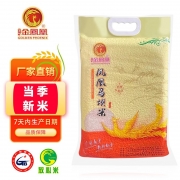 金凤凰玉竹 油粘米 5kg 大米 （计价单位：袋）