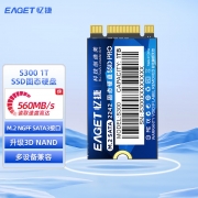 忆捷（EAGET）S300-1TB固态（2242、NGFF）