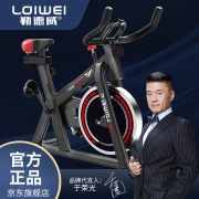勒德威 K300动感单车