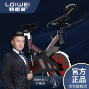 勒德威 K710动感单车