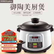 荣事达 陶水炖  RDZ-S1006ZL