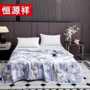 恒源祥TSB2053云锦天丝夏被200*230cm单位：条