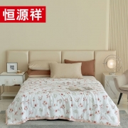 恒源祥TSB2053花期如梦天丝夏被200*230cm单位：条
