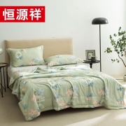 恒源祥TSB2011春暖花开柔软夏凉被200*230cm单位：条