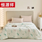 恒源祥TSB2035春意盎然靠枕夏被200*230cm单位：条