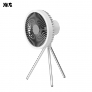 潮友 风扇灯
